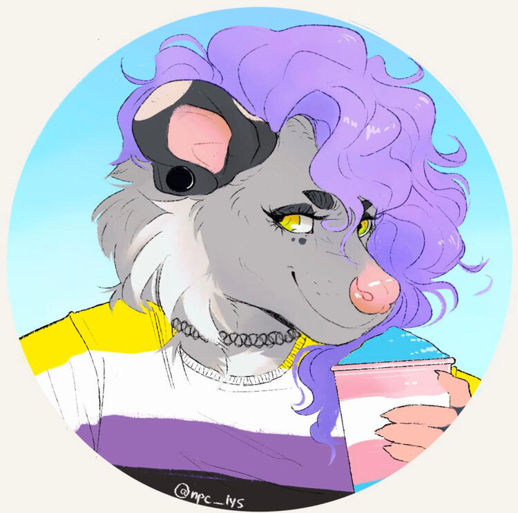 credit @npc_lys on twitter